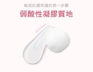 Physiogel潔美淨 安撫修護AI泡泡潔膚露