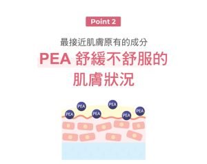 Physiogel潔美淨 安撫修護AI泡泡潔膚露