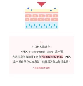 Physiogel潔美淨 安撫修護AI泡泡潔膚露